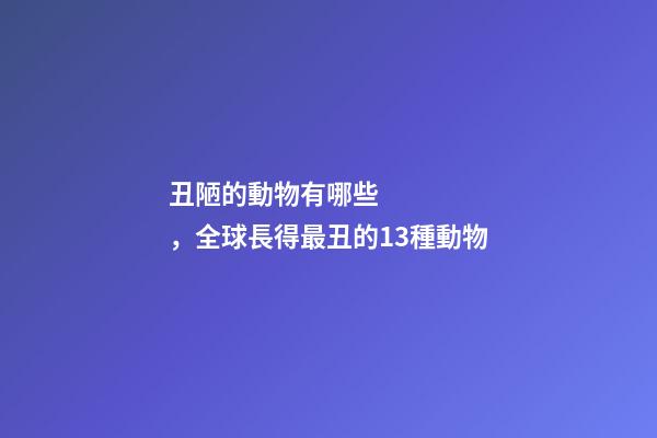 丑陋的動物有哪些，全球長得最丑的13種動物-第1張-觀點(diǎn)-玄機(jī)派